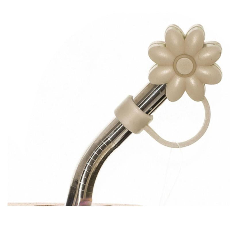 Adria Eco Glass Bottle with Steel Straw