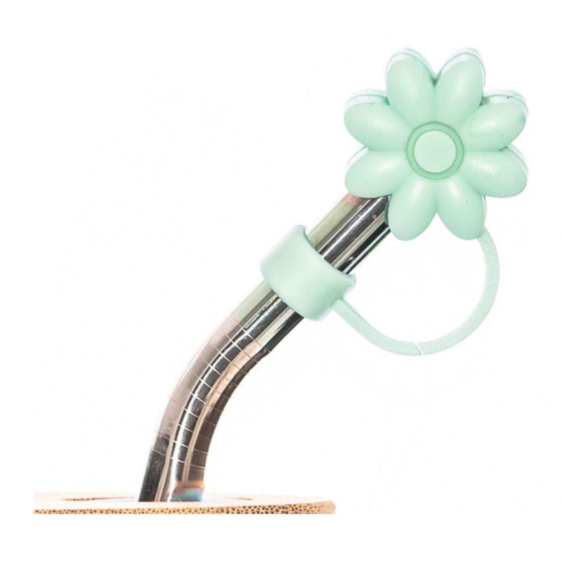 Adria Eco Glass Bottle with Steel Straw